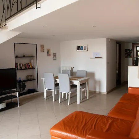 公寓 Old Town With Sea View Private Rooftop 焦维纳佐